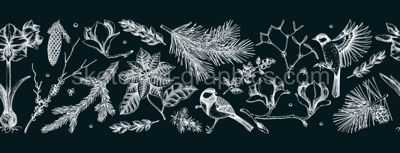 Merry Christmas seamless border. Winter birds and flowers pattern. Conifer trees sketches on chalkboard. Hand-drawn vector background. NOT AI generated Illustration